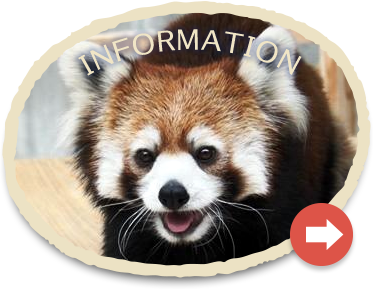 とくしま動物園ご案内