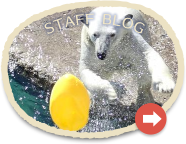 スタッフブログ